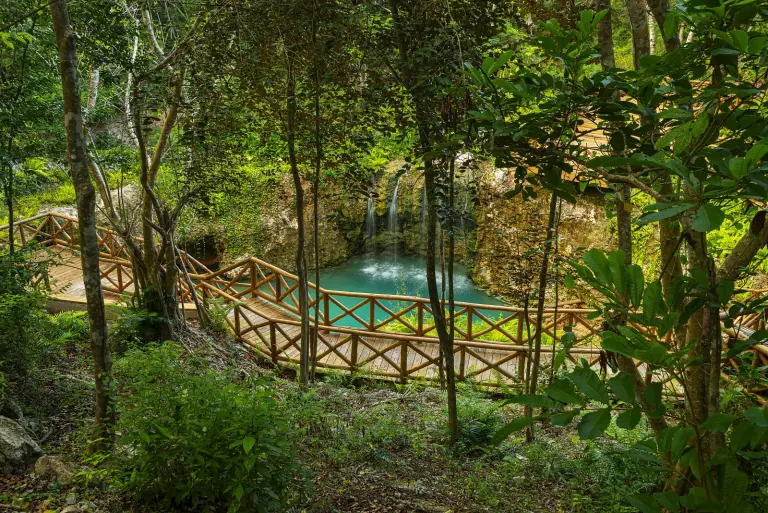 Pasarelas de madera del cenote Blue Hole entre la vegetación tropical