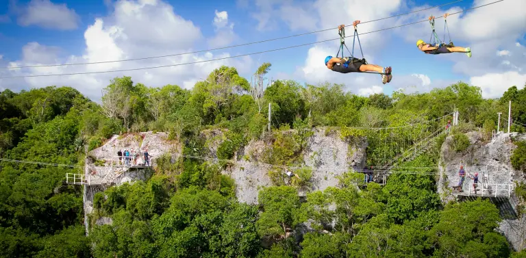 Tirolinas cruzando por encima del parque de aventuras y la selva