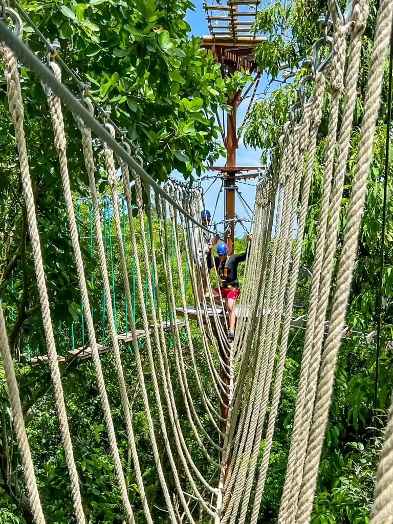 Puente de cuerdas del circuito de aventura entre los árboles